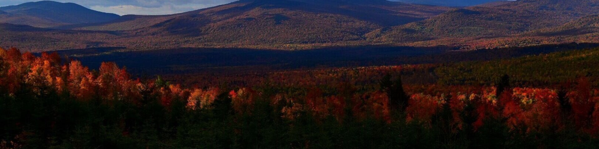 Fall foliage in full bloom in Western Maine