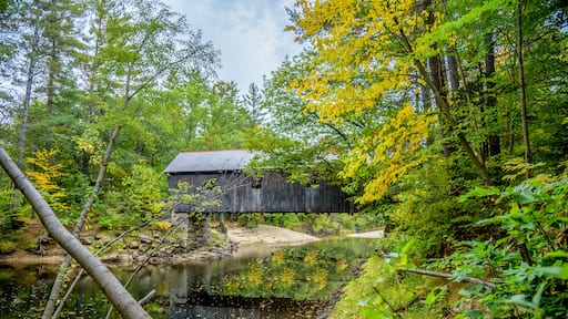 A wooden cabin by a calm river surrounded by dense forest.