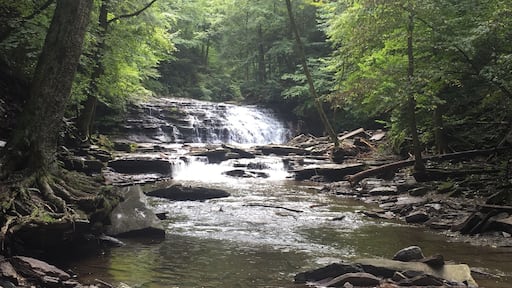 Lower falls of this three tiered beauty. You actually have to climb up the first and second falls to get to the top. Beautiful place.