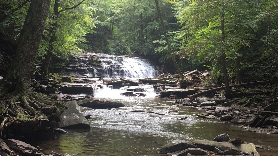 Lower falls of this three tiered beauty. You actually have to climb up the first and second falls to get to the top. Beautiful place.
