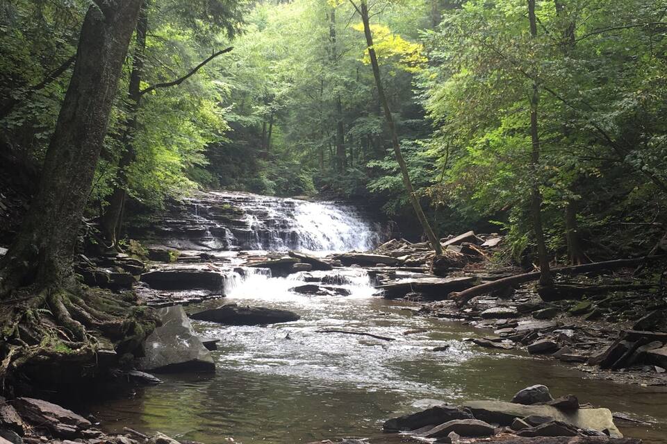 A waterfall in a forested area with dense green foliage and rocky terrain.