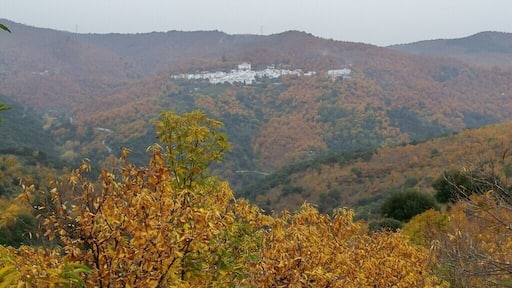 Pujerra, desde el sendero que va de Cartajima a Júzcar (PR-A 224), Serranía de Ronda, Málaga, España. Paisajes de encinas y castaños.