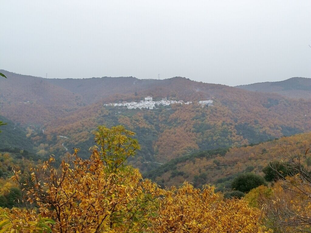 A mountainous landscape with autumn foliage and a cluster of white buildings in the distance.