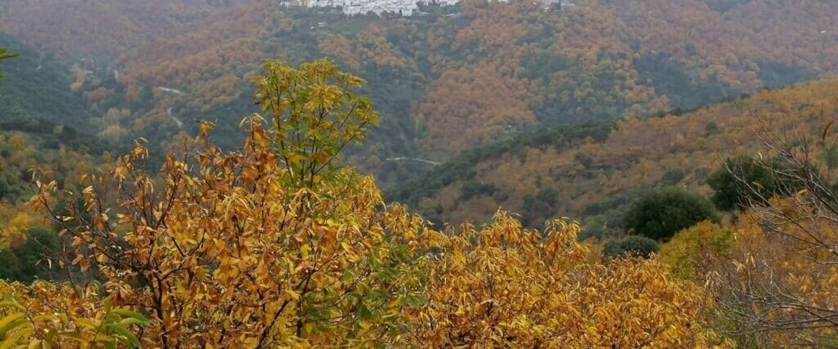 A mountainous landscape with autumn foliage and a cluster of white buildings in the distance.