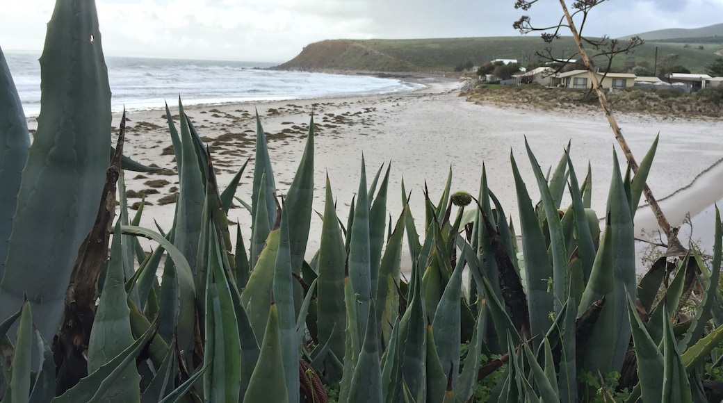 Beautiful isolated unspoiled white sand beach