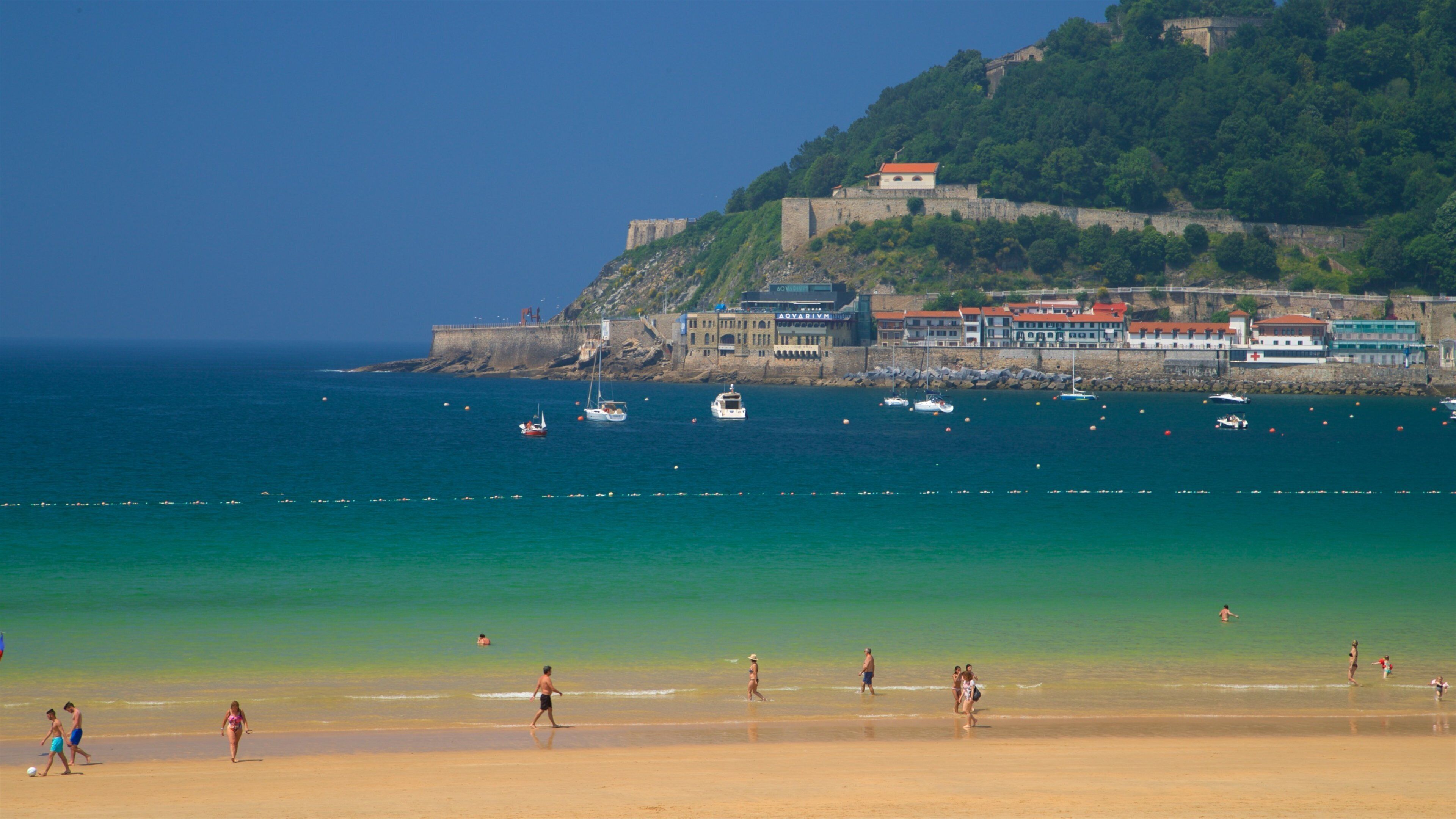 Insel Santa Clara welches beinhaltet Strand, allgemeine Küstenansicht und Küstenort