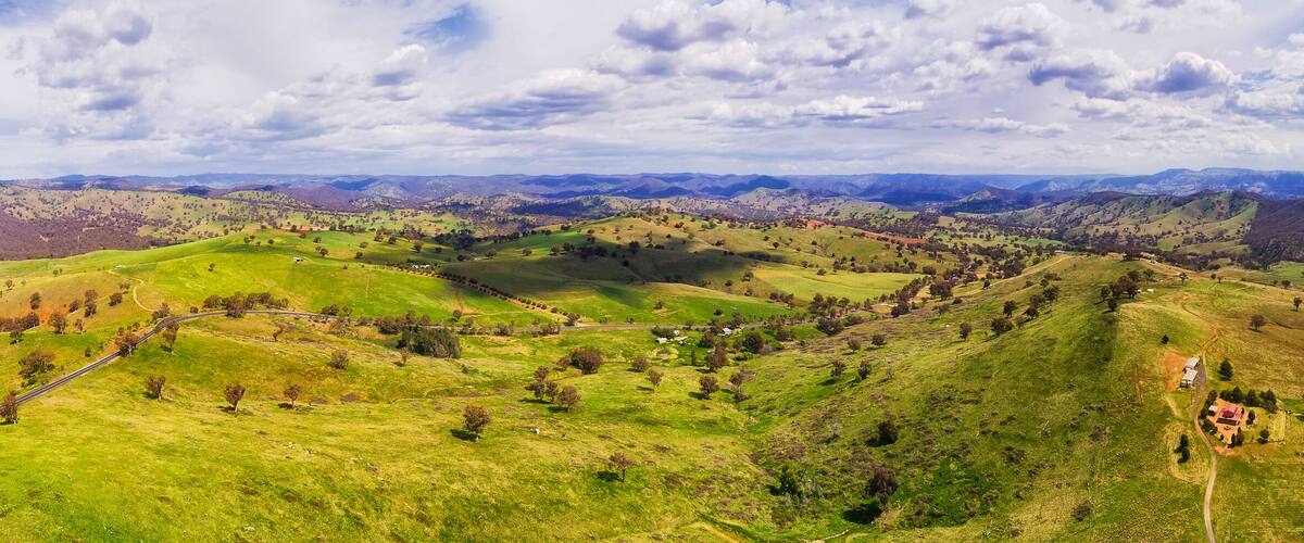 A winding road through rolling green hills with scattered trees and distant mountains under a partly cloudy sky.