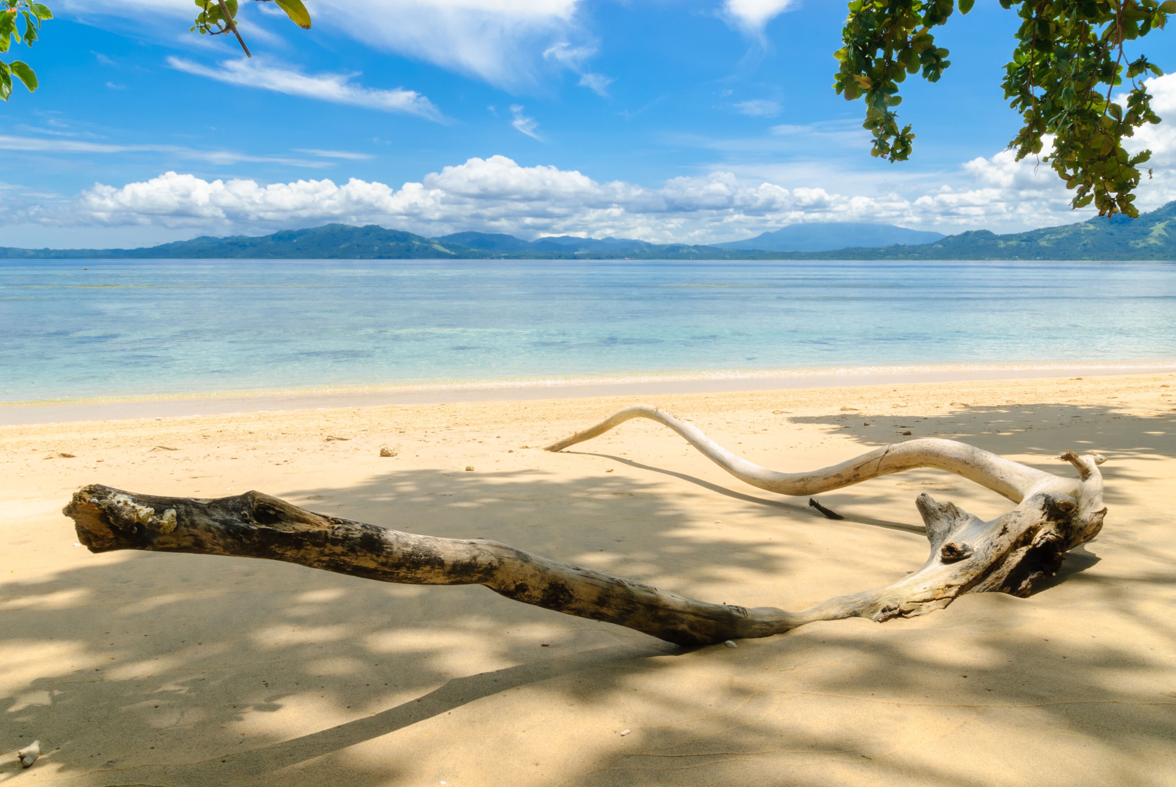 A beach with a large driftwood piece and mountains in the background.