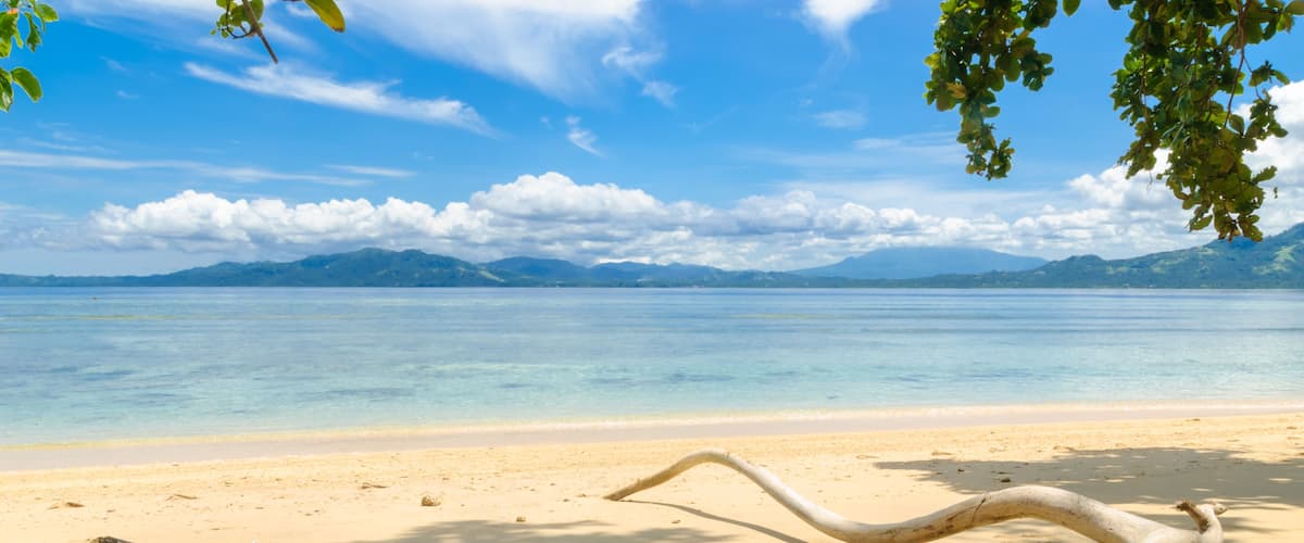 A beach with a large driftwood piece and mountains in the background.