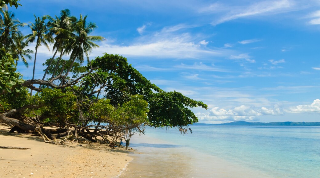 Beach on Siladen island in Bunaken National Marine Park, Sulawesi, Indonesia