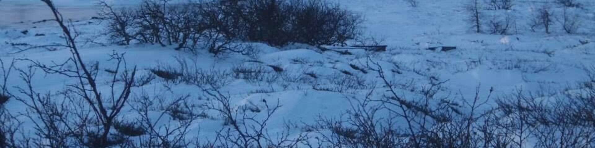A secluded hut in Fulufjället national park in Sweden #GreatOutdoors