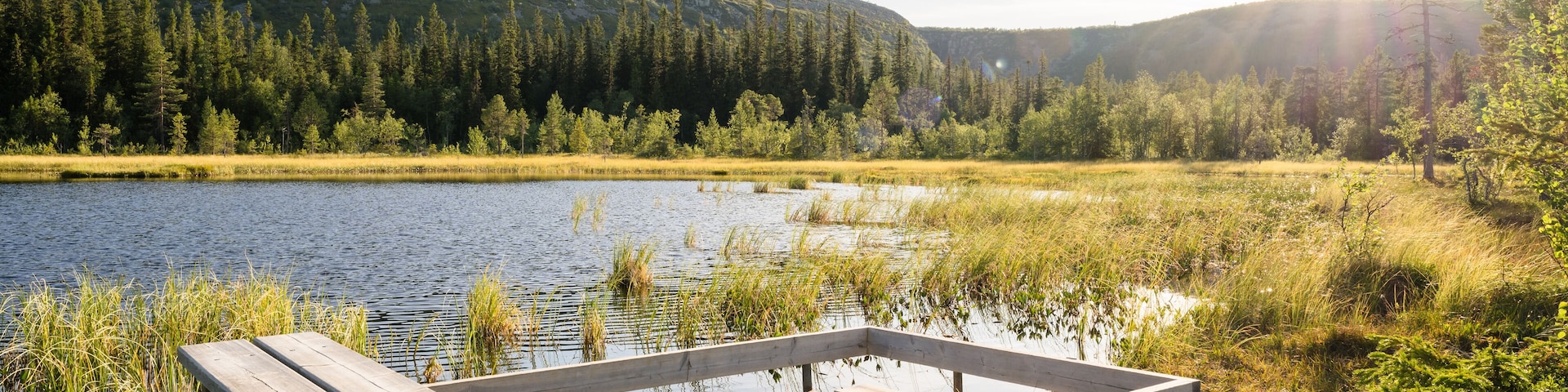 Fulufjallet National Park in Dalarna, Sweden. Popular tourist destination for hiking.