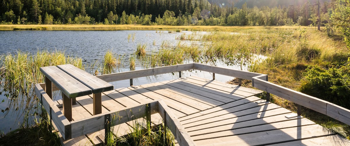 A wooden dock extending over a calm lake, surrounded by lush greenery and forested hills.