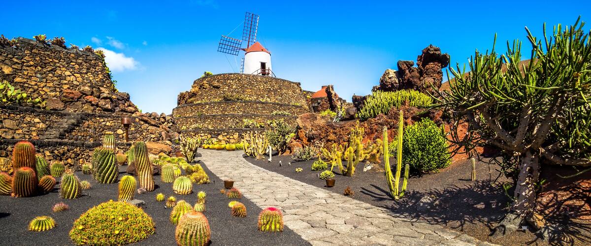 A windmill, cacti, and a stone pathway.