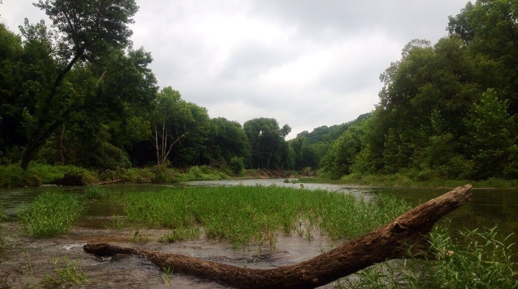 Beautiful spot on the Buffalo River!!!