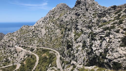 The winding, hairpin curves of the road to Sa Colabra, Mallorca is not for the faint- hearted driver!