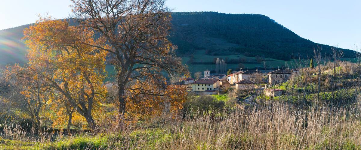 A rural landscape with autumn-colored trees, a hill, and a cluster of houses.