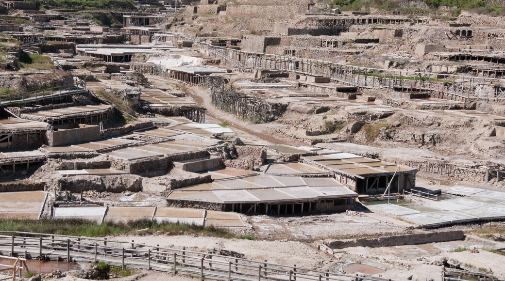 The Salt Valley of Salinas de Anana, Alava (Spain)