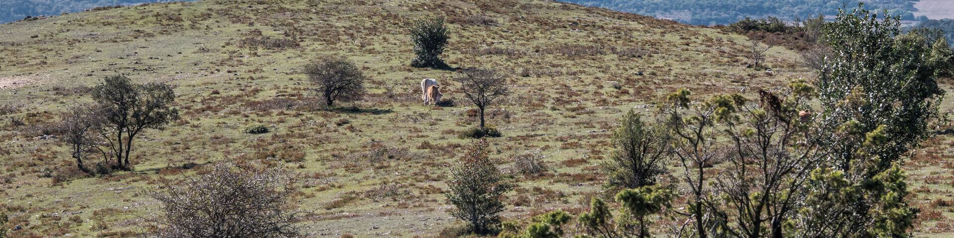 Views from the summit of Pagogan. Álava, Basque Country, Spain