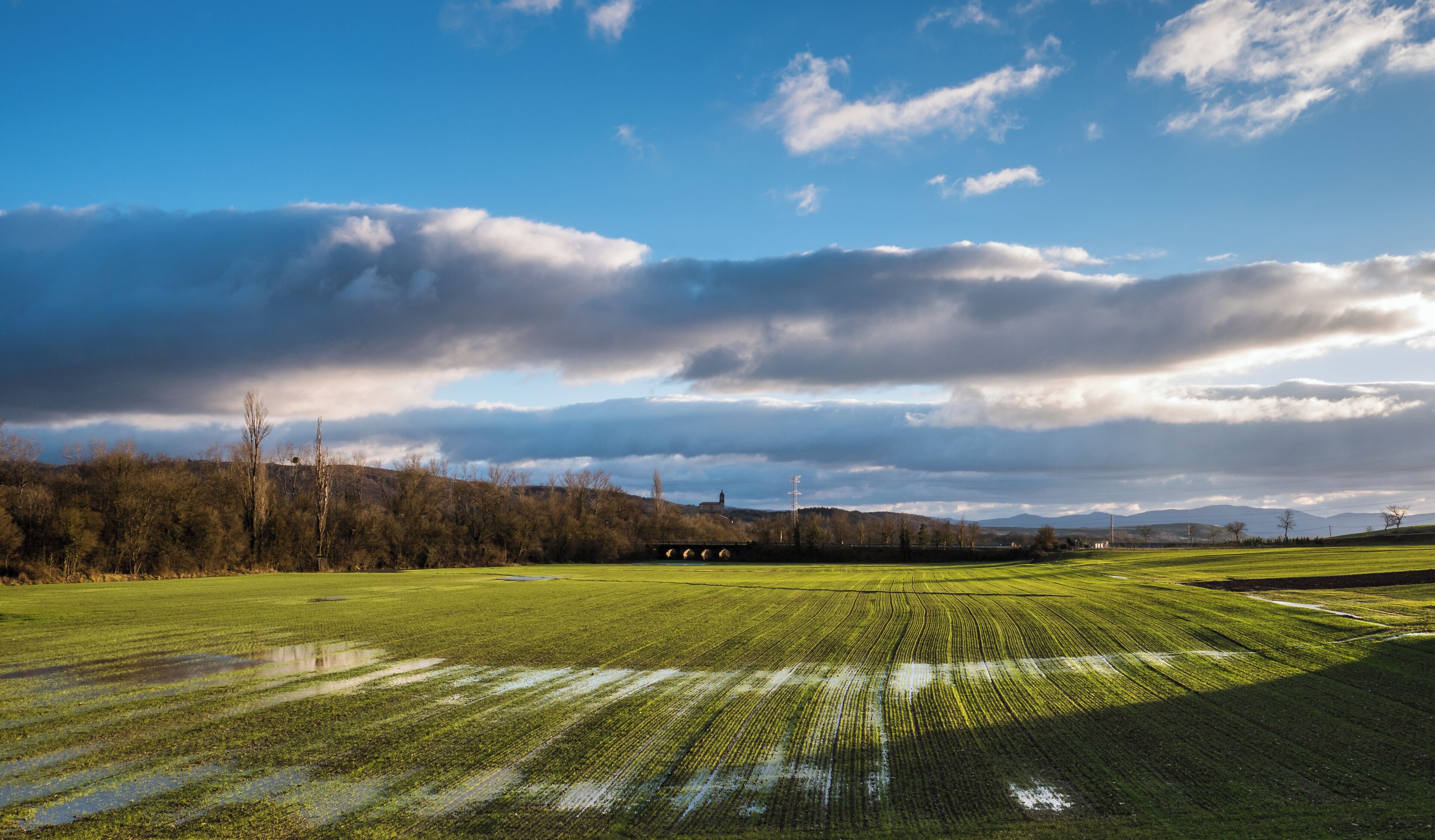 Flooded field near the concrete dam of the Ullibarri-Gamboa Reservoir. Álava, Basque Country, Spain