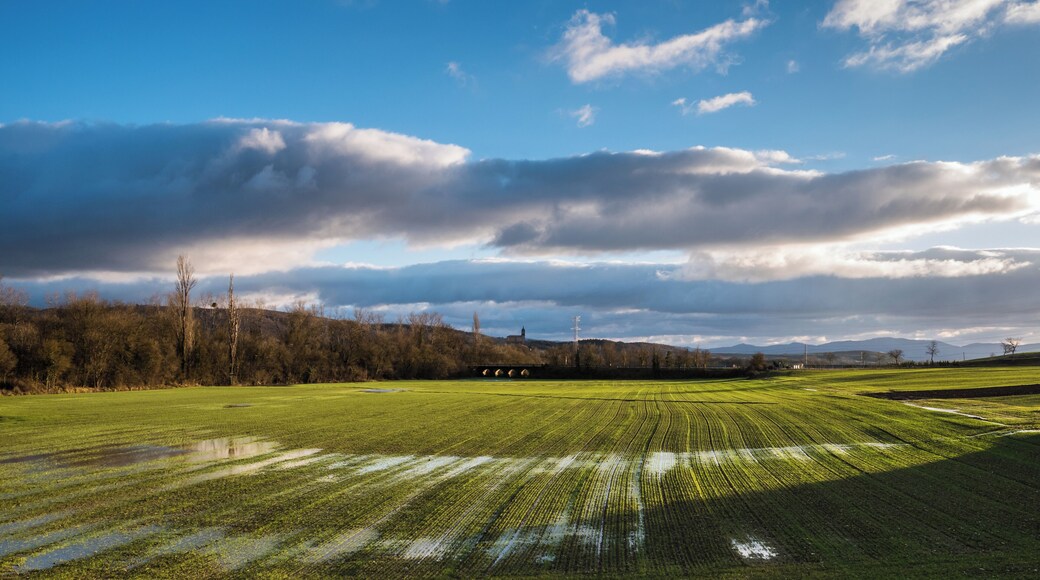 Flooded field near the concrete dam of the Ullibarri-Gamboa Reservoir. Álava, Basque Country, Spain