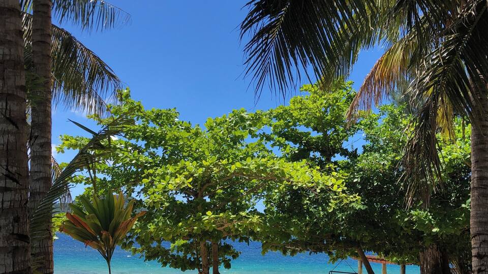 A beach with palm trees, lounge chairs, and a clear blue sky.