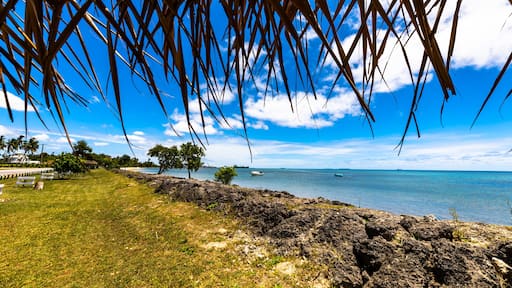 A beautiful view of the Tonga coastline taken from under a native hut on a perfect sunny day with deep blue sky and white clouds.