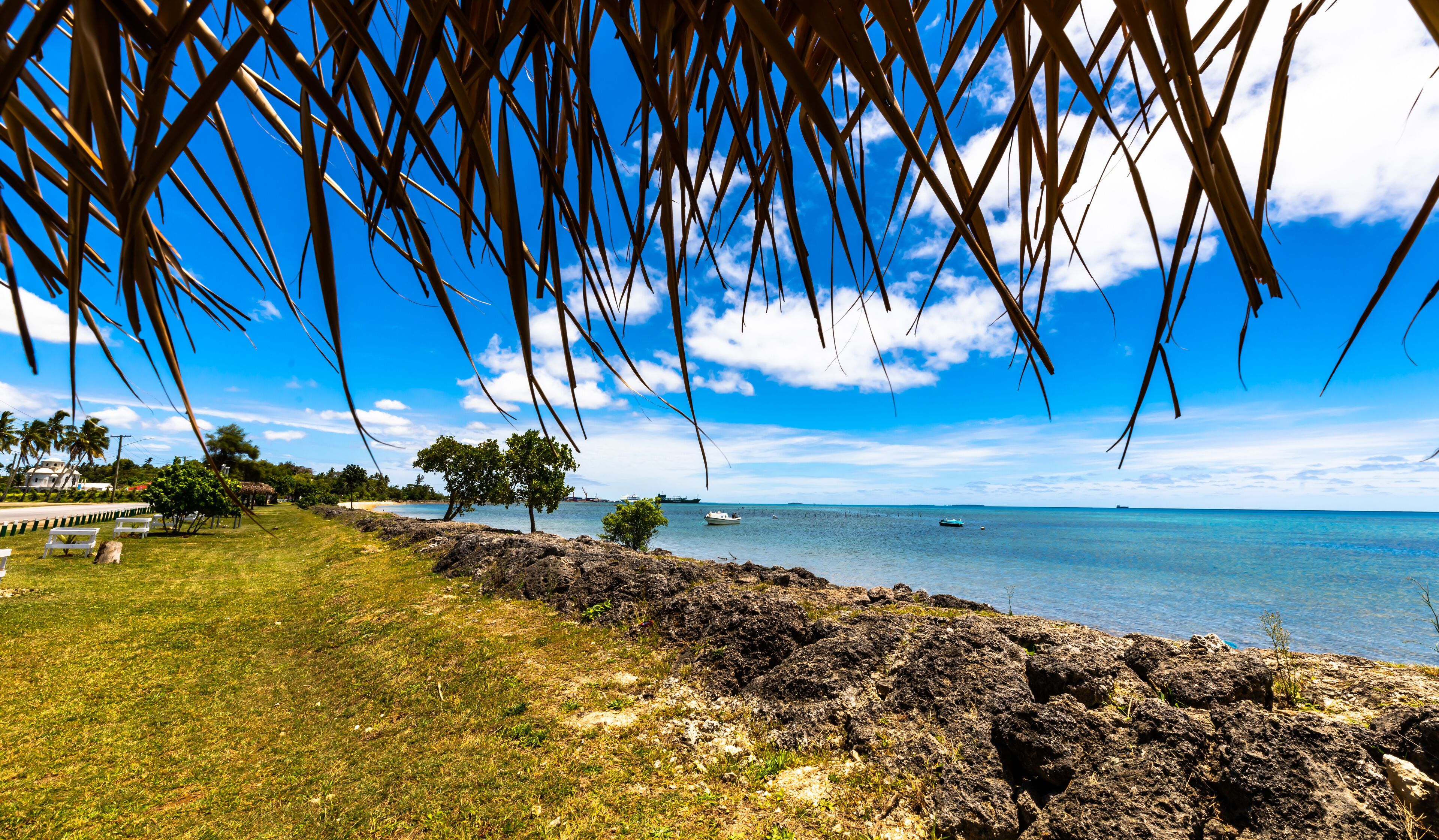 A coastal landscape with rocky shorelines, palm trees, and a clear blue sky.
