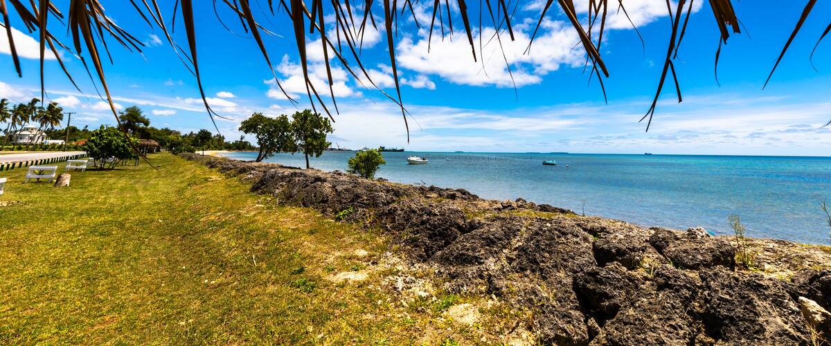 A coastal landscape with rocky shorelines, palm trees, and a clear blue sky.