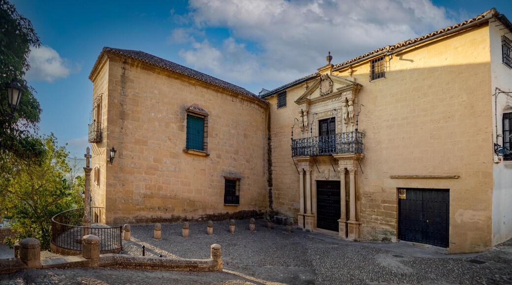 ซัลบาเตียรา