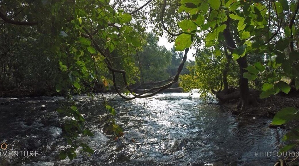 A nice river side campout location with small and simple 2 HR treks to #ShivajiHorseTrails!
Come join us as we Explore #AWholeNewPlanet
#EcoAdventure
www.ecoadventure.in
Join us this weekend as we campout at #Hideout03 (24-25th jan, 2015)