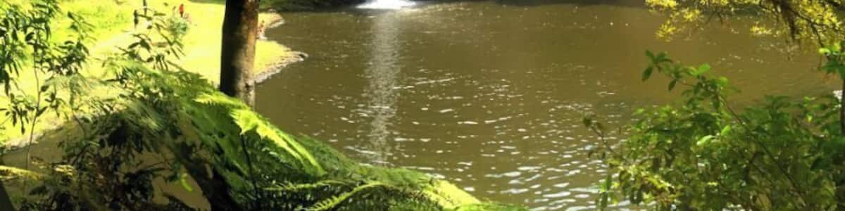 Hunua Falls #Auckland #NZ