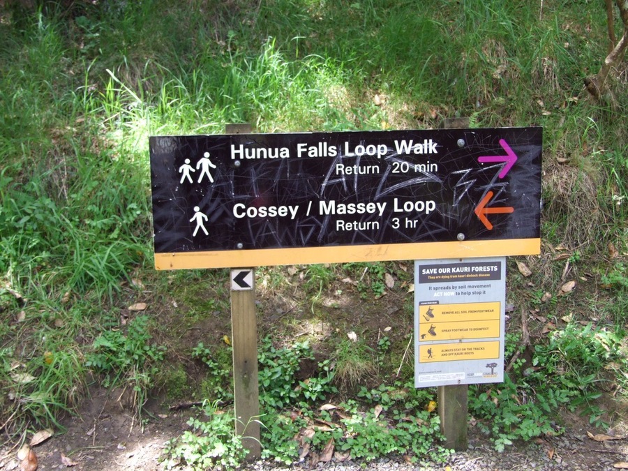 A little trip to Hunua Falls near Auckland - it worth