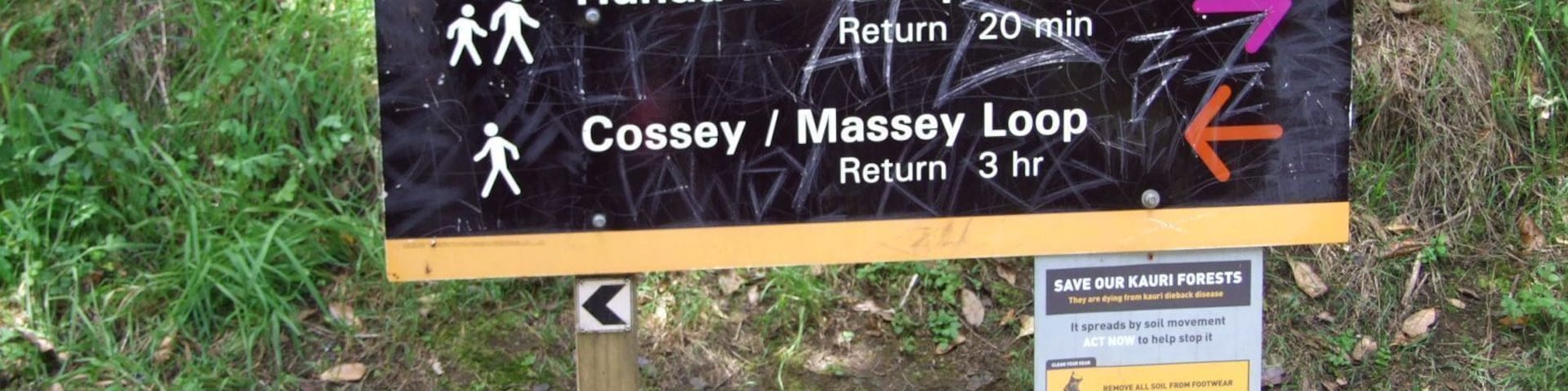 A little trip to Hunua Falls near Auckland - it worth