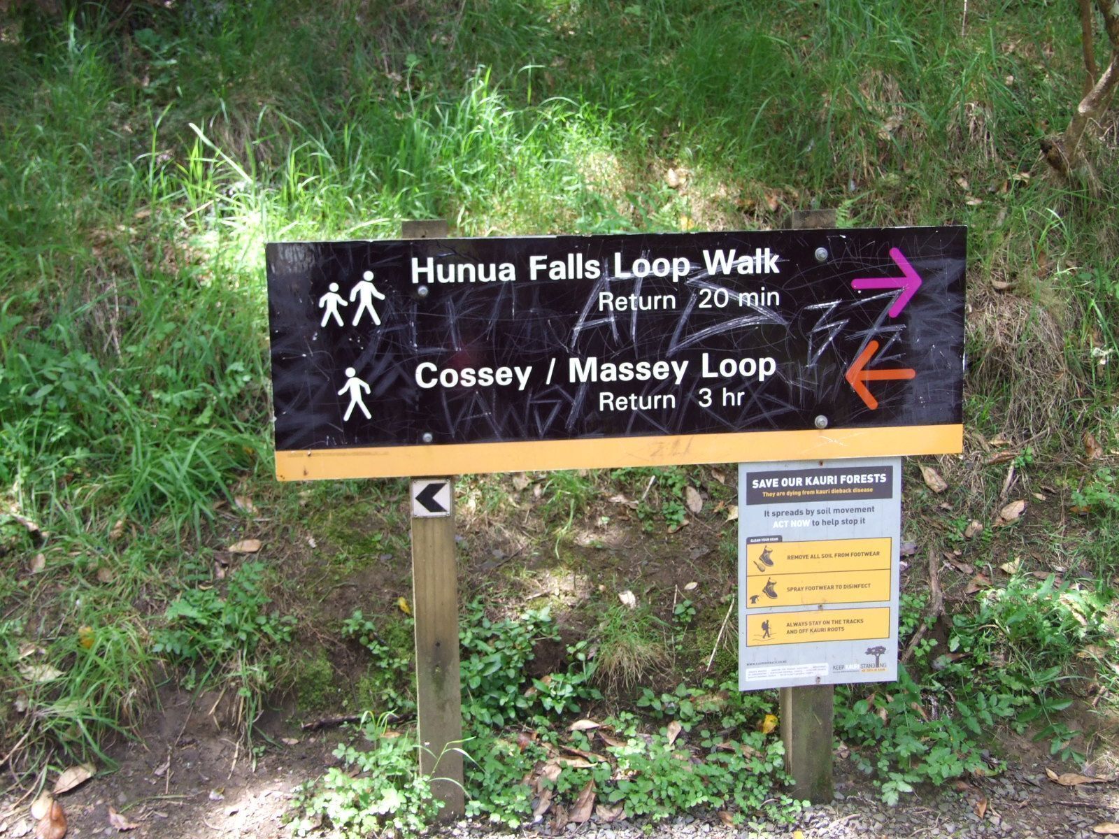 A sign for Huna Falls Loop Walk with directions and return times.