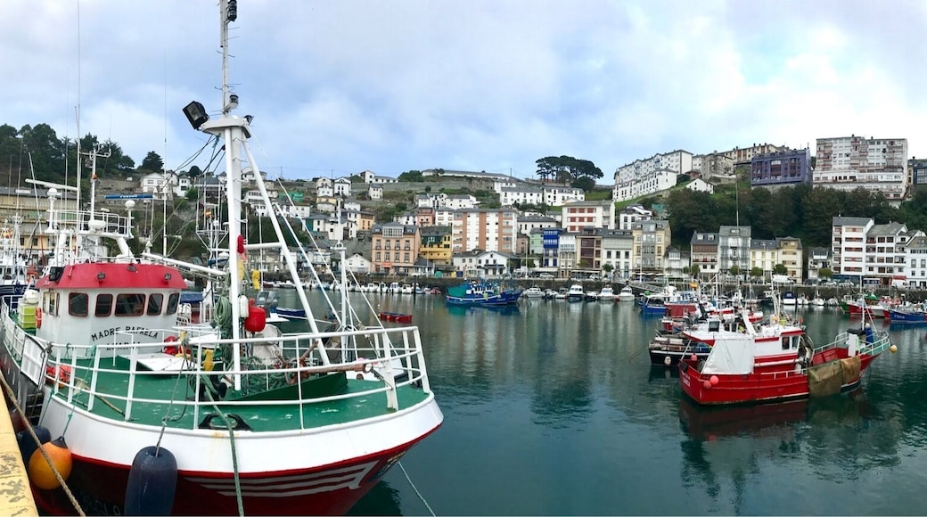 Seaport of Luarca (L.luarca, in the Asturian language).