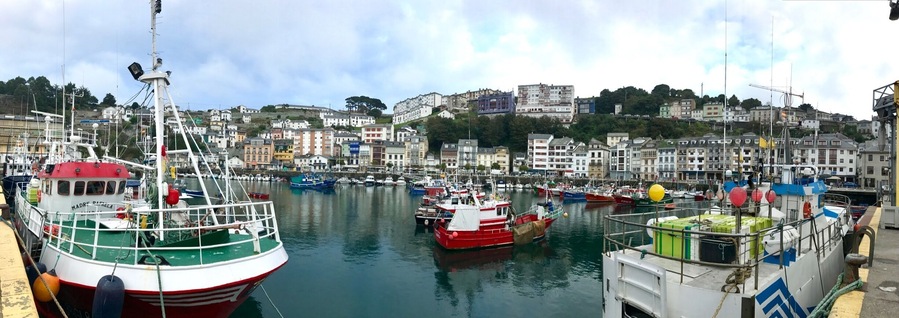 Seaport of Luarca (L.luarca, in the Asturian language).