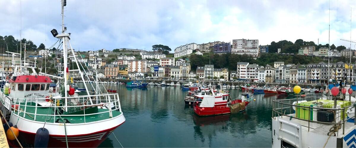 A harbor with multiple boats docked, a lighthouse, and a hillside with buildings.