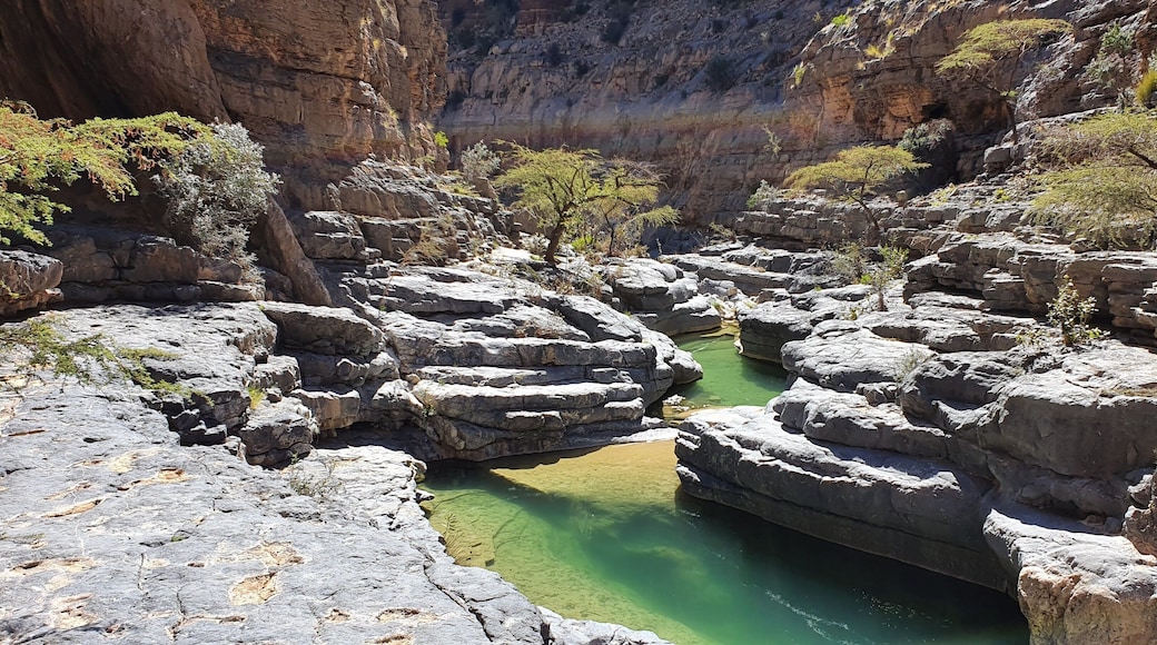 #LifeAtExpediaGroup a great hike through the Wadi and finally reach the water. Only 200m climb back out at this point.