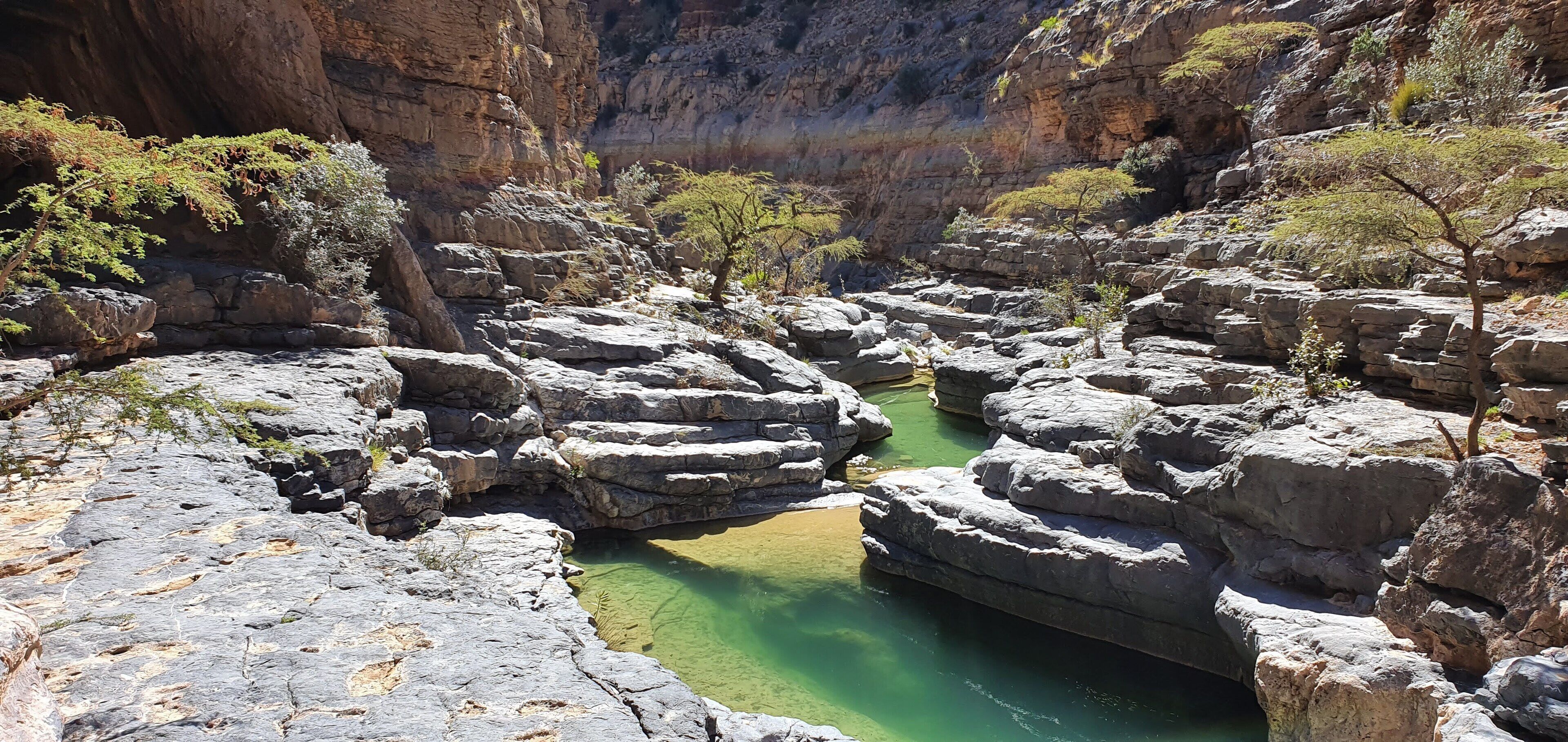 A canyon with rocky formations and a clear green pool.