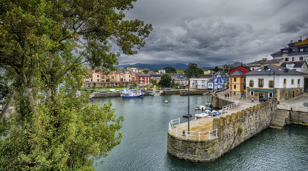 ํธ์๋ฅดํ ๋ฐ ๋ฒ ๊ฐ