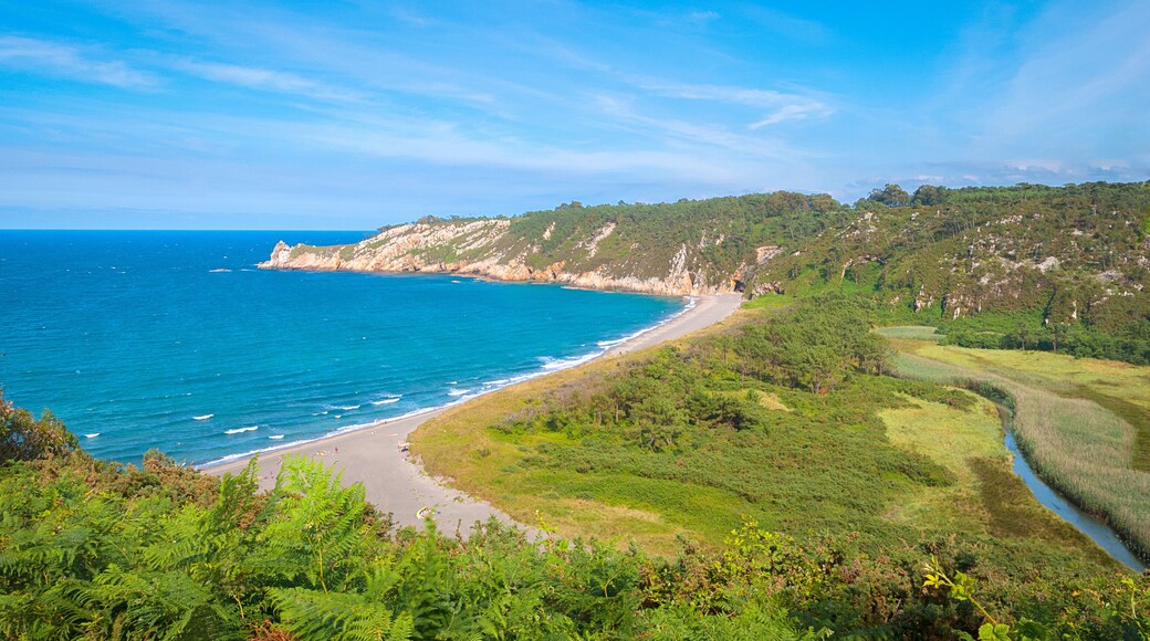 ํธ์๋ฅดํ ๋ฐ ๋ฒ ๊ฐ