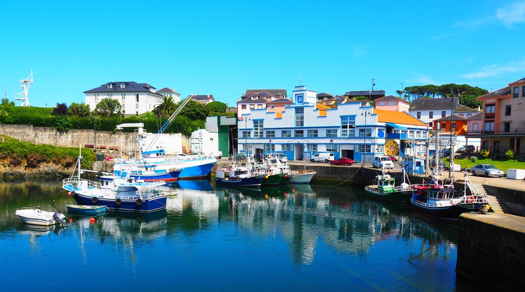 ํธ์๋ฅดํ ๋ฐ ๋ฒ ๊ฐ