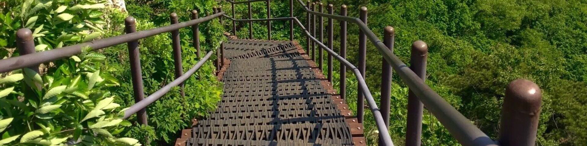 A wooden staircase leading up a mountain with railings, surrounded by lush greenery and rocky terrain.