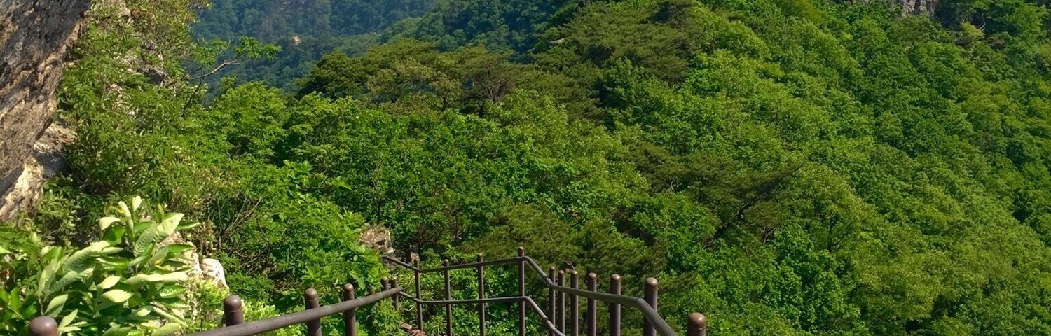 Una escalera de madera que asciende una montaña con barandillas, rodeada de exuberante follaje y terreno rocoso.