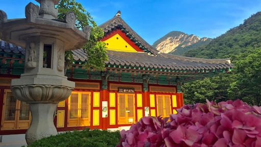 This amazing national park of Korea has so much to offer, from
Awe-inspiring mountain views to beautiful Buddhist mountain temples and monasteries, waterfalls and pagodas... If you find yourself near Daejeon... Gyeryongsan National Park is a must and an easy bus trip from the city.
The Buddhist temple/monastery in this picture is the beautiful Donghaksa temple.