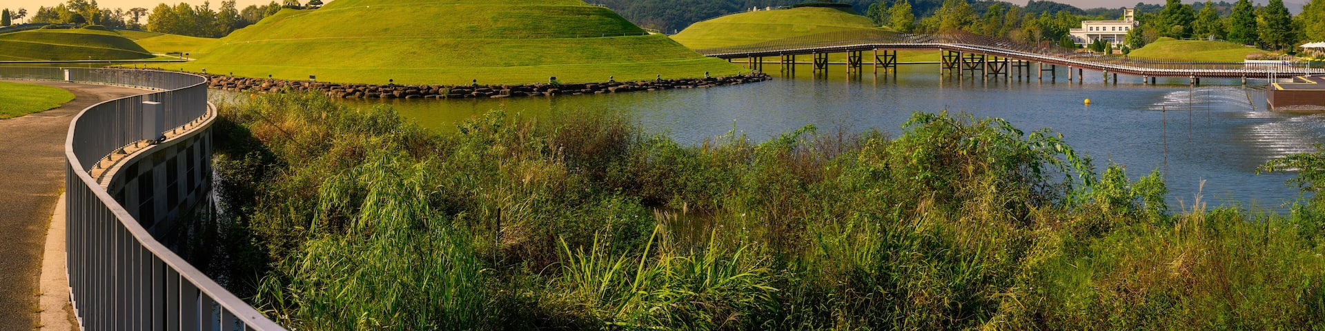 Suncheon Bay National Garden, Bonghwa Hill, and the lake in Suncheon City, South Korea