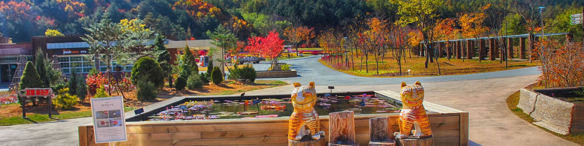 Autumn of Baekdudaegan arboretum, Bonghwa, Gyeongsangbukdo, South Korea