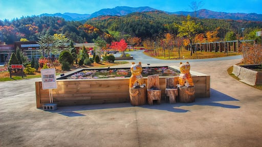 Autumn of Baekdudaegan arboretum, Bonghwa, Gyeongsangbukdo, South Korea