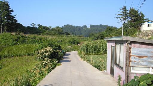 A rural road flanked by fields and a small building with a corrugated metal roof.